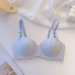 Small Breast gathering Cute Bra